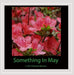 Something In May
