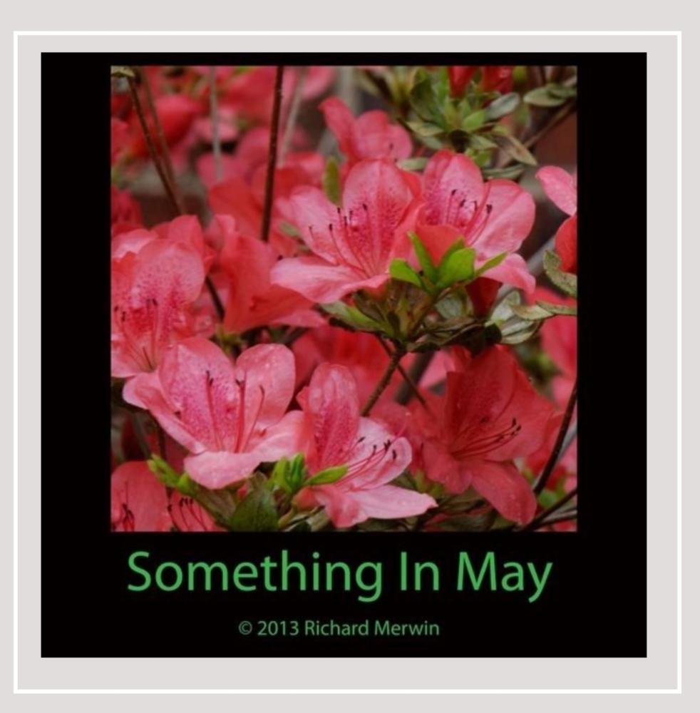 Something In May