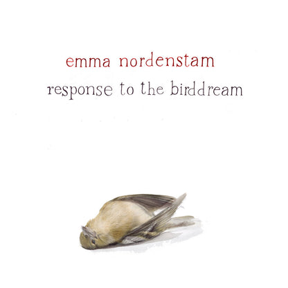 Response to the birddream