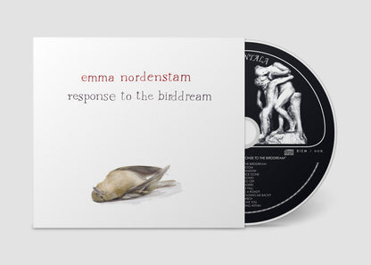 Response to the birddream