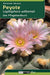 Peyote - Lophophora williamsii: Das Pflegehandbuch