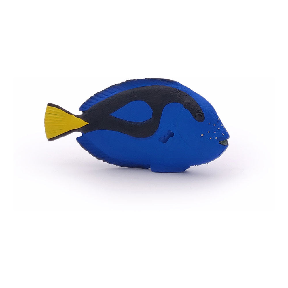 Papo MARINE LIFE Figurine, 56024 Surgeonfish, Multicolour