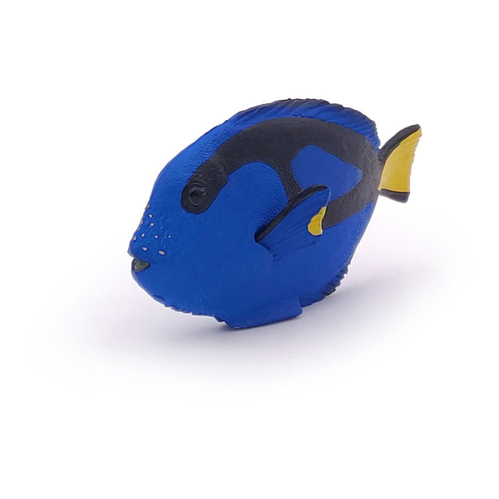 Papo MARINE LIFE Figurine, 56024 Surgeonfish, Multicolour