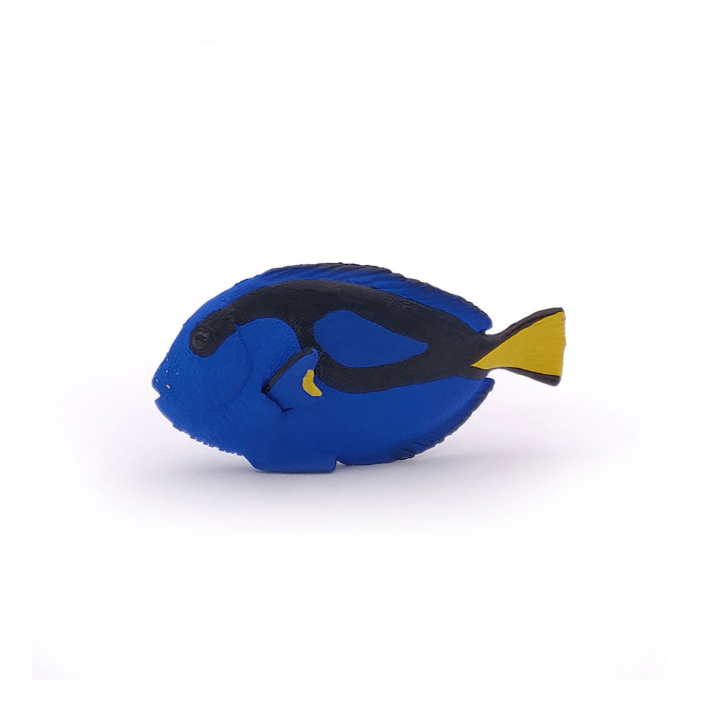 Papo MARINE LIFE Figurine, 56024 Surgeonfish, Multicolour
