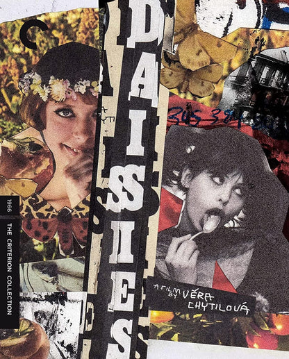 Daisies (Criterion Collection