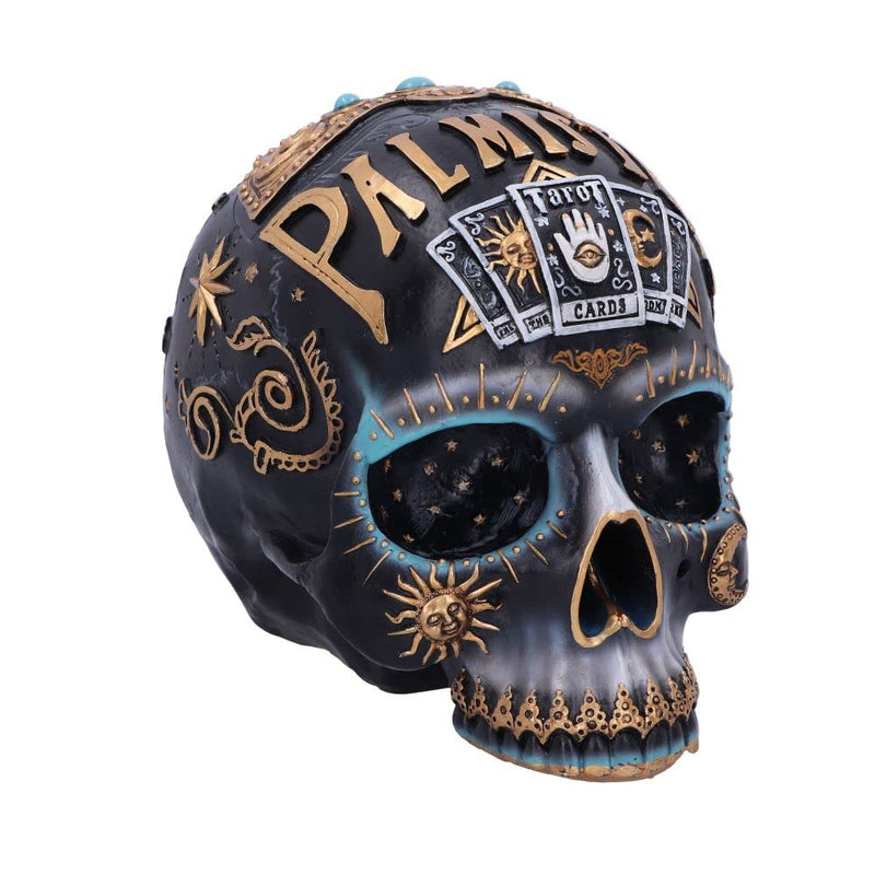 Nemesis Now Destiny Skull, Black, 18cm