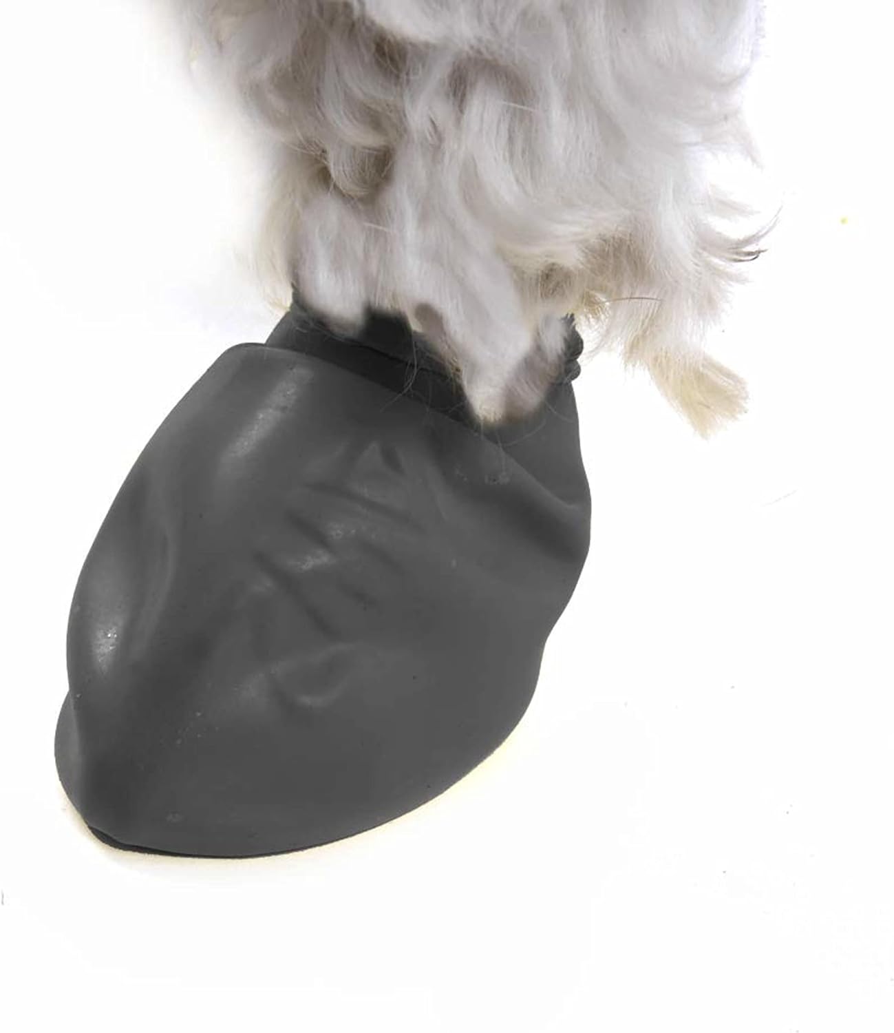 Pawz Dog - Black Dog Boots