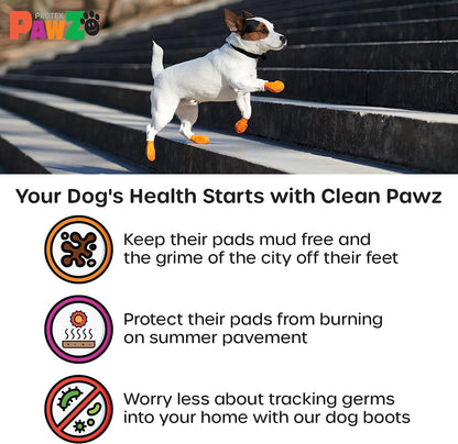 Pawz Dog - Black Dog Boots