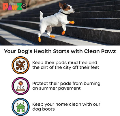 Pawz Dog - Black Dog Boots