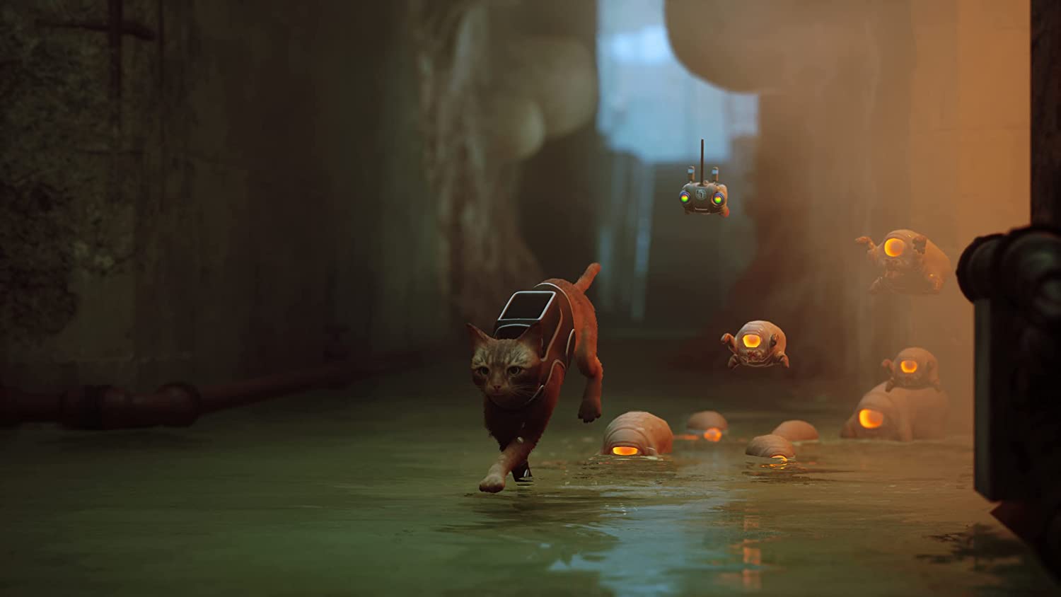 Stray (PS4) PlayStation 4