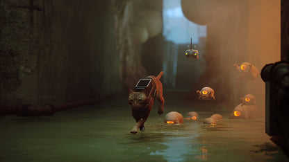 Stray (PS4) PlayStation 4