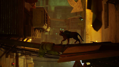 Stray (PS4) PlayStation 4