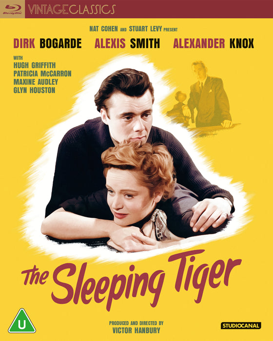The Sleeping Tiger (Vintage Classics)