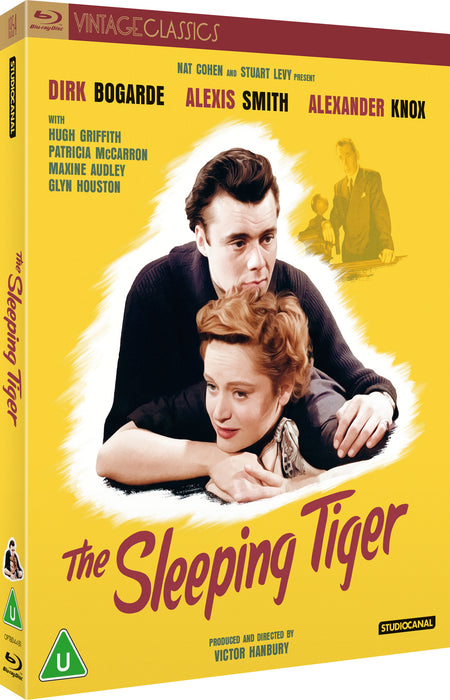 The Sleeping Tiger (Vintage Classics)