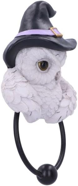 Snowy Owl Magic Door Knocker 21Cm