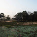 Kalak