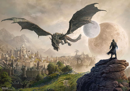 Good Loot Gaming Puzzle Elder Scrolls Elsweyr Computer game puzzles for teenagers and adults Leisure ideas Inspired by a computer game | 1000 pieces | 68 x 48 cm