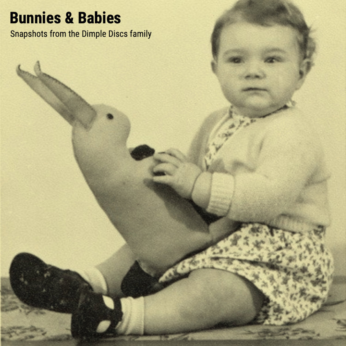 Bunnies and Babies: Snapshots from the Dimple Discs Family