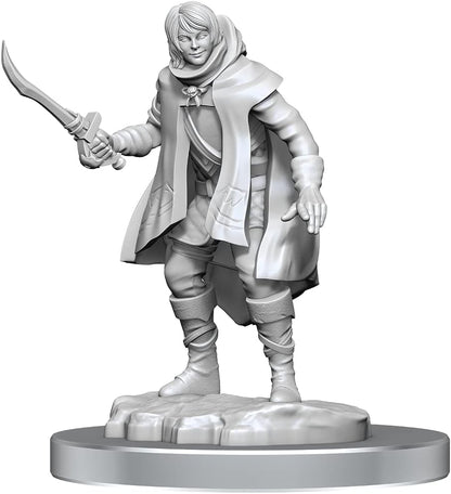 D&D Nolzur's Marvelous Unpainted Miniatures: Elf Rogue & Half-Elf Rogue ProtÃ©gÃ©