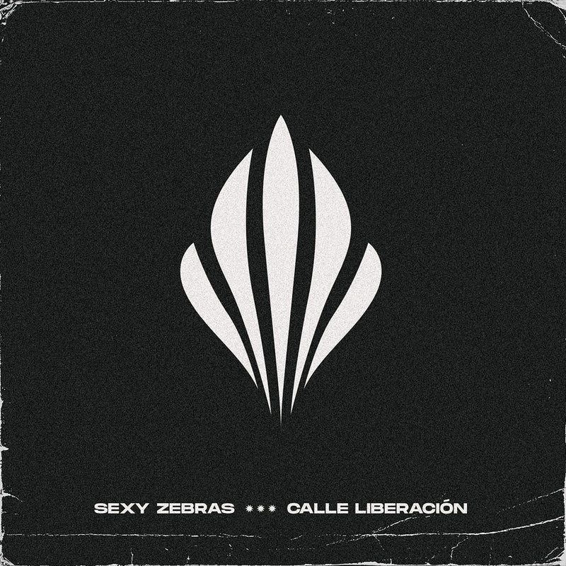 Calle Liberacion