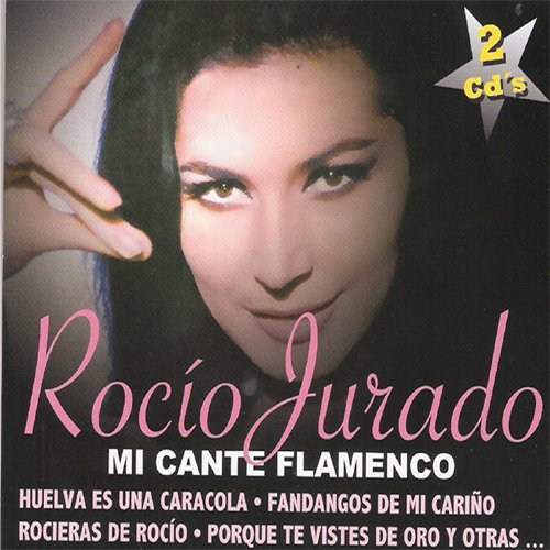 Mi cante flamenco