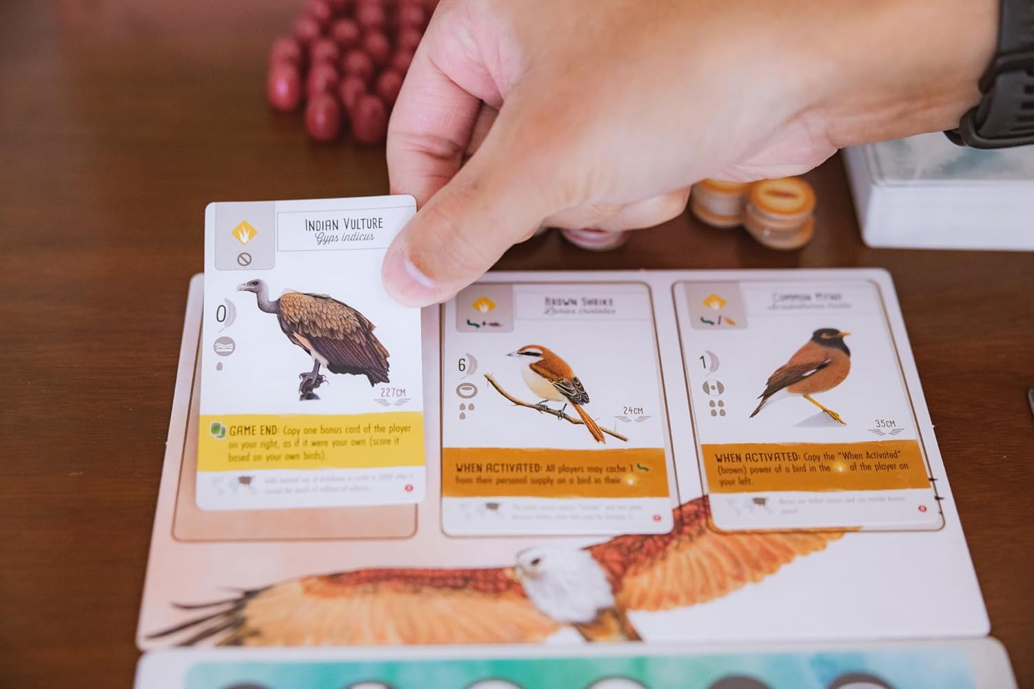 Stonemaier Games, Wingspan: Asia (Standalone Expansion), Board Game, Ages 14+, 1-7 Players, 40-70 Minutes Playing Time, Multicolor