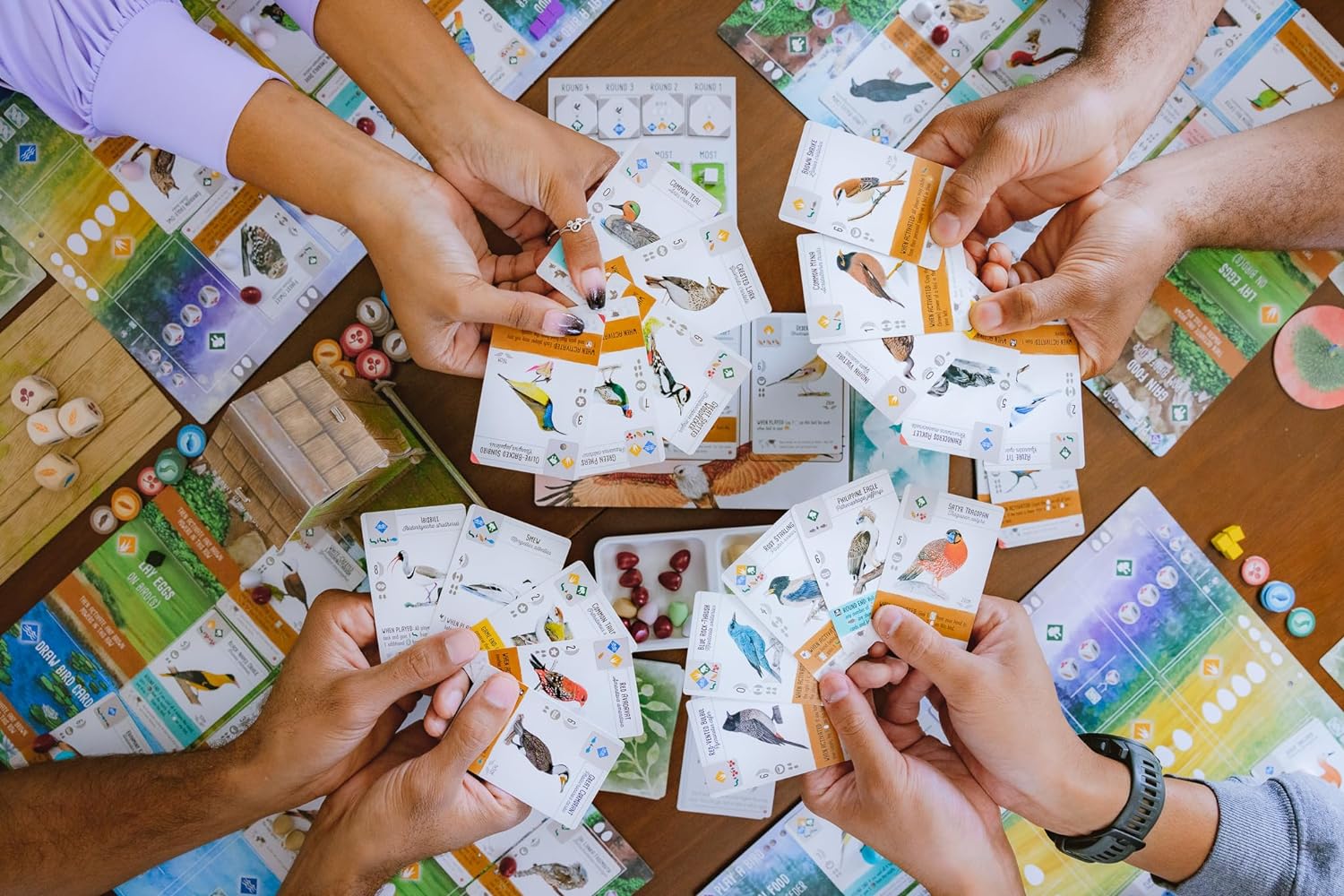 Stonemaier Games, Wingspan: Asia (Standalone Expansion), Board Game, Ages 14+, 1-7 Players, 40-70 Minutes Playing Time, Multicolor