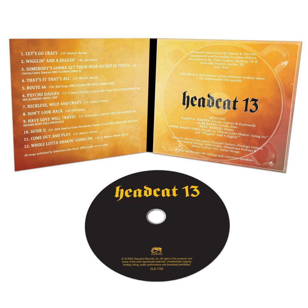 Headcat 13