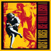 Use Your Illusion 1 Deluxe Edition