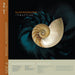 Nautilus / Rue Du Poisson Noir