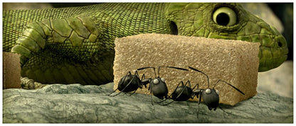 Minuscule La valle des fourmis perdues Combo BluRay DVD