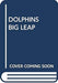 Dolphins Big Leap