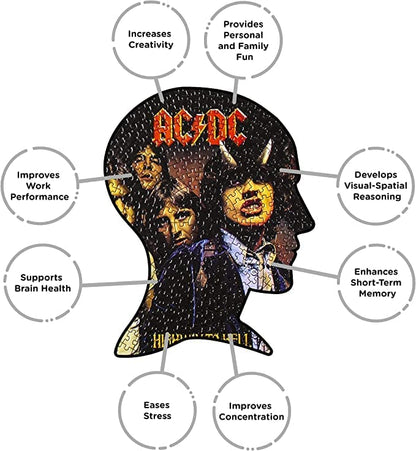 NMR Distribution ALBM-002 AC/DC Highway to Hell 450 pc Picture Disc Puzzle, Multi-Colored