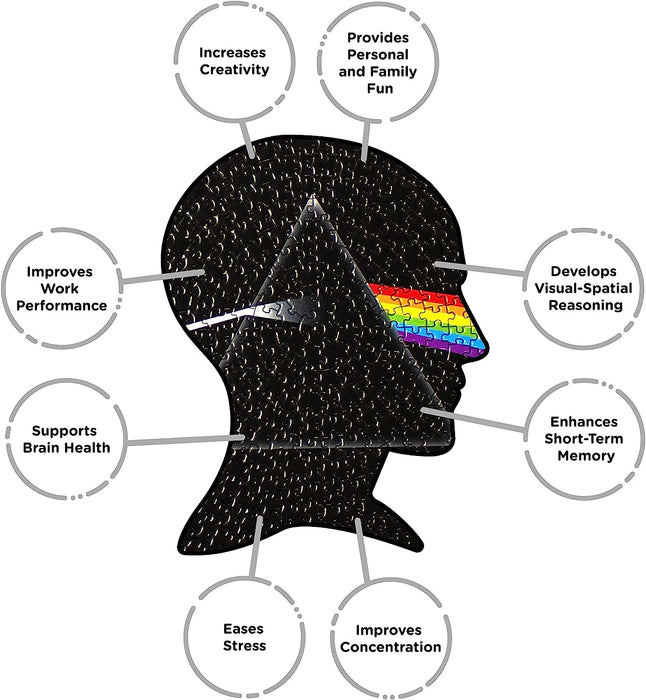 AQUARIUS Pink Floyd Dark Side Record Disc Puzzle (450 Piece Jigsaw Puzzle) - Officially Licensed Pink Floyd Merchandise & Collectibles - Glare Free - Precision Fit - 12 x 12 Inches