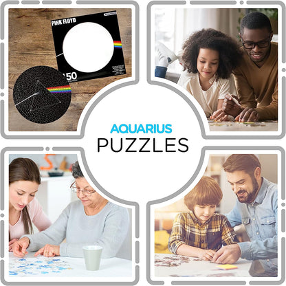 AQUARIUS Pink Floyd Dark Side Record Disc Puzzle (450 Piece Jigsaw Puzzle) - Officially Licensed Pink Floyd Merchandise & Collectibles - Glare Free - Precision Fit - 12 x 12 Inches