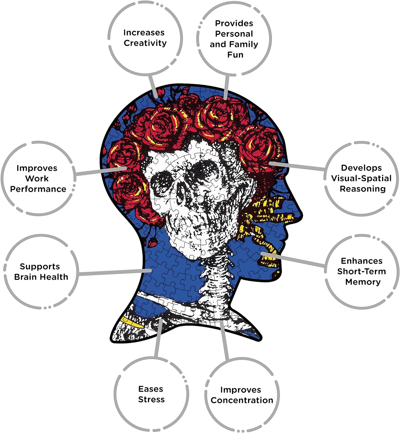 AQUARIUS Grateful Dead Skull & Roses Record Disc Puzzle (450 Piece Jigsaw Puzzle) - Glare Free - Precision Fit - Officially Licensed Merchandise & Collectibles - 12x12 in
