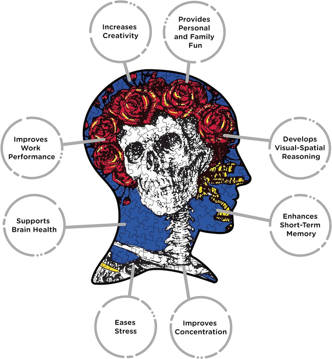 AQUARIUS Grateful Dead Skull & Roses Record Disc Puzzle (450 Piece Jigsaw Puzzle) - Glare Free - Precision Fit - Officially Licensed Merchandise & Collectibles - 12x12 in
