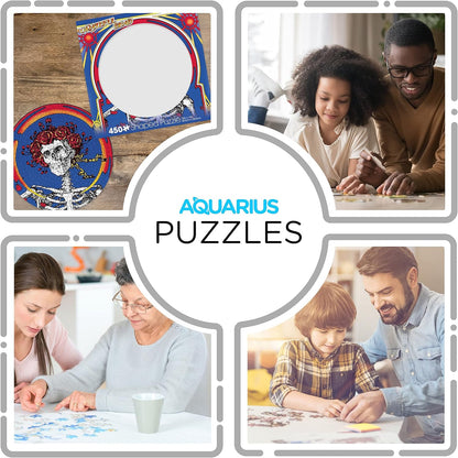 AQUARIUS Grateful Dead Skull & Roses Record Disc Puzzle (450 Piece Jigsaw Puzzle) - Glare Free - Precision Fit - Officially Licensed Merchandise & Collectibles - 12x12 in