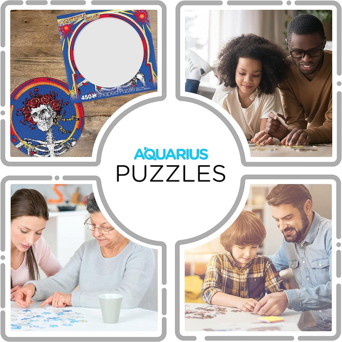 AQUARIUS Grateful Dead Skull & Roses Record Disc Puzzle (450 Piece Jigsaw Puzzle) - Glare Free - Precision Fit - Officially Licensed Merchandise & Collectibles - 12x12 in