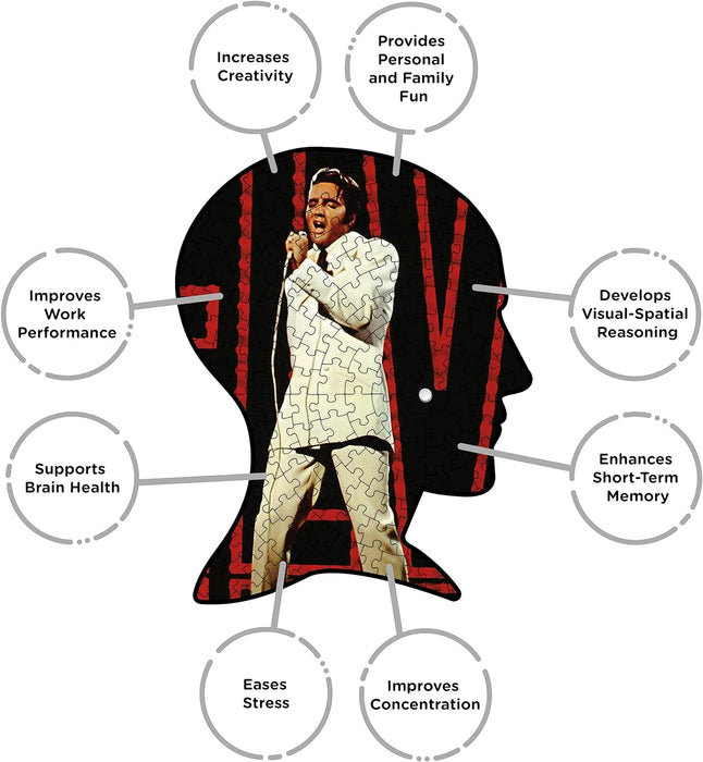 AQUARIUS ALBM-018 Jigsaw Puzzle