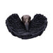 Edgar Allen Poe`S Nevermore Raven Skull Trinket Holder Jewellery Dish
