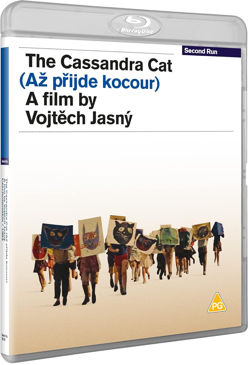 The Cassandra Cat