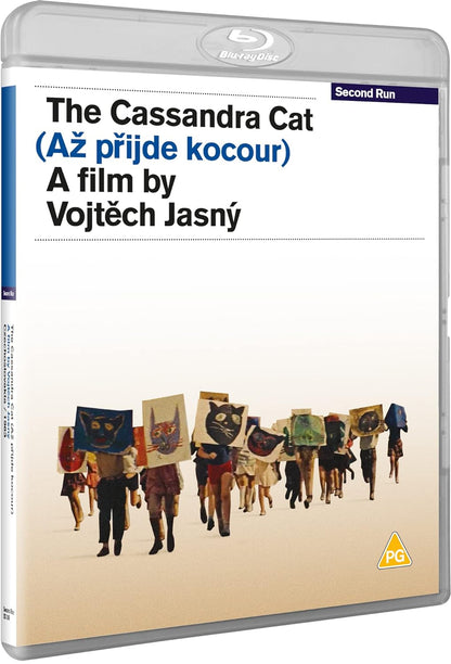 The Cassandra Cat
