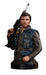 Star Wars Rogue One Cassian Andor 1/6 Scale Bust