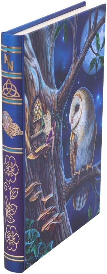 Nemesis Now Lisa Parker Journal de contes de fées Bleu 17 cm