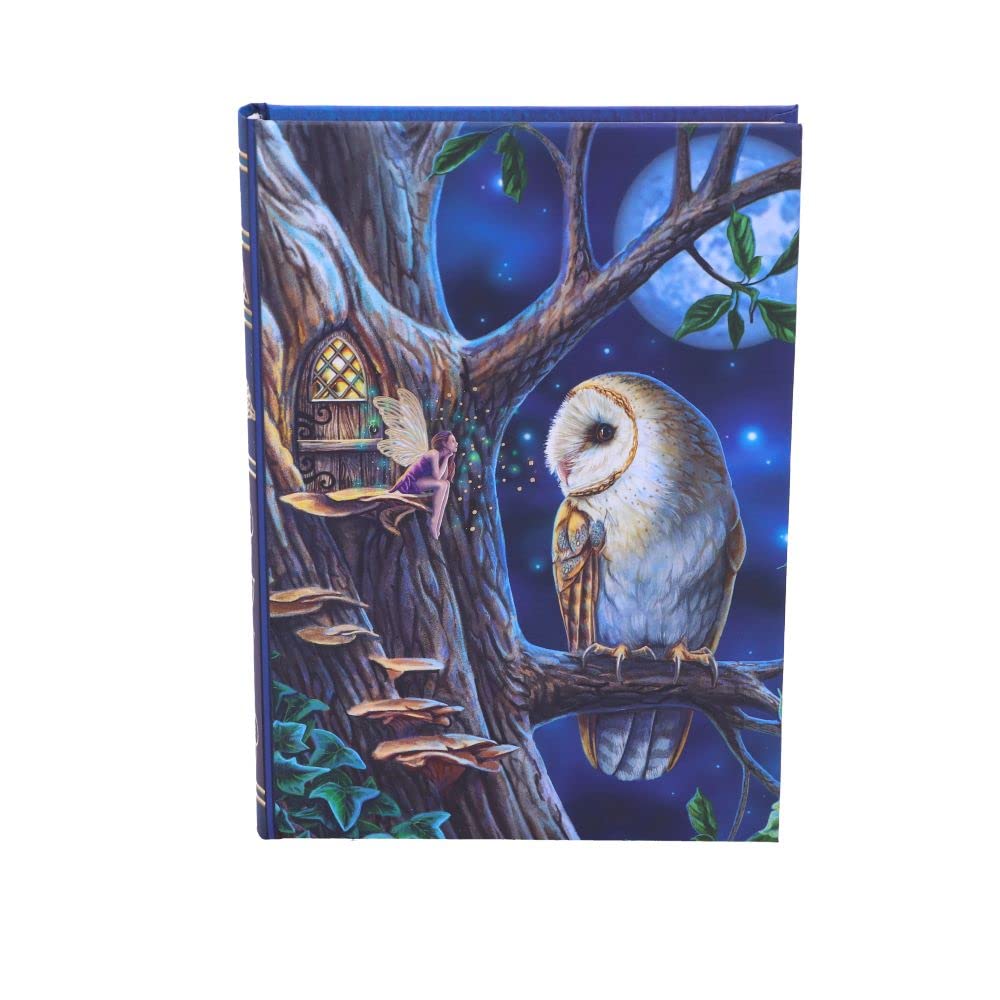 Nemesis Now Lisa Parker Journal de contes de fées Bleu 17 cm