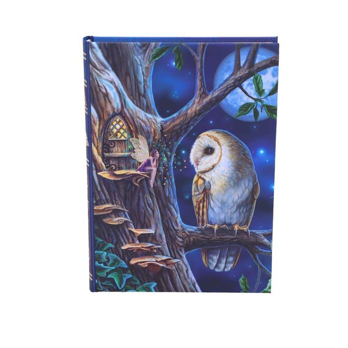 Nemesis Now Lisa Parker Journal de contes de fées Bleu 17 cm