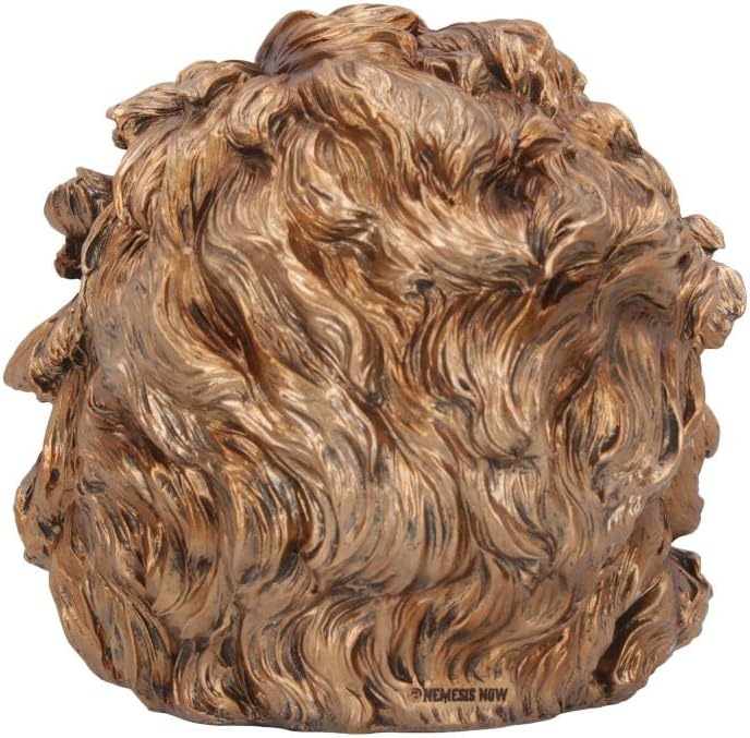 Nemesis Now Theory of Relativity, Bronze, 21cm