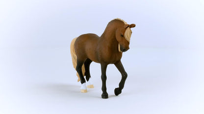 Schleich Horses 2023, Horse Club, Horse Toys for Girls and Boys Paso Peruano Stallion Horse Toy Figurine, Ages 5+