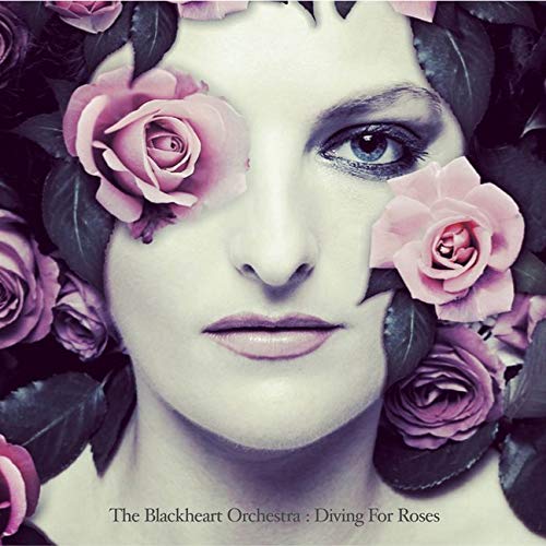 Diving For Roses Exclusive
